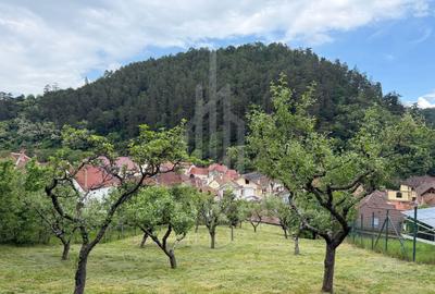 Casă rustică de vânzare în Tilișca, (Marginimea Sibiului) - 8