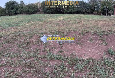 Teren intravilan de vanzare 1300 mp in Sard - 4