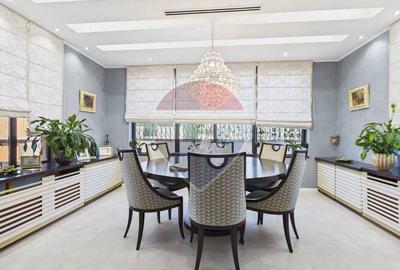 Penthouse duplex 7 camere | 711 mp suprafata totala | terasa 341 mp - 2