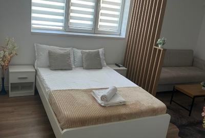 Garsoniera de vanzare complet renovata / Stefan Cel Mare / Direct propietar - 5
