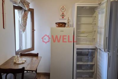 DE VÂNZARE – DOUĂ CASE ÎN SĂRĂȚENI, ÎN APROPIERE DE SOVATA - 12