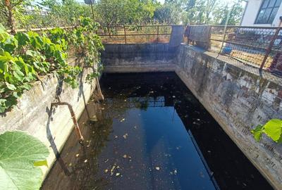SERĂ INDUSTRIALĂ CU TEREN INTRAVILAN  – OPORTUNITATE RARĂ in Olari - 14