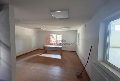 Hala 600mp, 6euro/mp, Iasi-Trei Fantani - 5