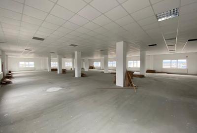 Clădire comercială 3225 mp, teren 5850 mp, zona Romanești - 4