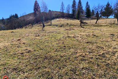 Teren la munte în Bucovina - 2