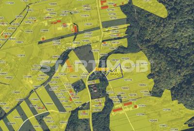 Teren extravilan Glajarie zona Cuibul de Lemn - 5