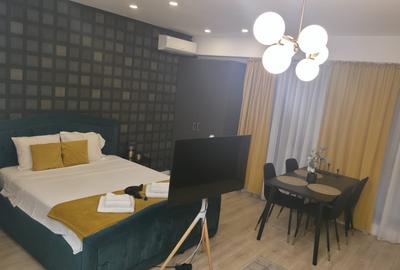 Garsoniera Dristor - Metrou - Ale.Florin Ciungan 17 - Centrala Proprie - Parcare - 8