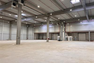 HALA INDUSTRIALA 3.500 MP FLORESTI | 400 MP BIROURI | 6 RAMPE | 400 KVA - 2