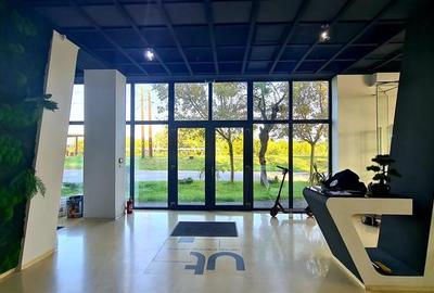 Cladire comerciala - clinica  de vanzare, zona Iosefin - 2