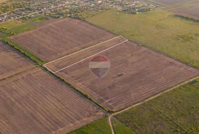 Teren extravilan 12,500mp Dumbrava / Prahova - 6