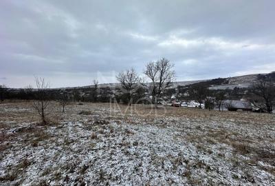 Casa individuala cu teren generos – 8.356 mp – Tichindeal, jud. Sibiu - 8