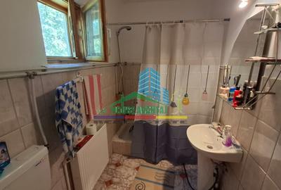 Casa de vacanta /Cabana de vanatoare  Soveja - Vrancea - 7