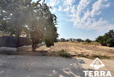 Teren la intrarea in Ovidiu - pozitie ideala - 4