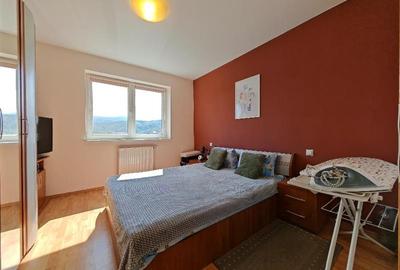 Inchiriem Apartament 2 Camere, Mobilat, Decomandat, Avantgarden 2 - 17