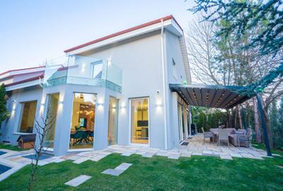 Vila Exclusivistă în Zona Iancu Nicolae – O Oportunitate Unică - 29