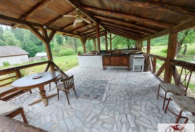 Casa de vanzare in Muntii Apuseni - Horea - 3