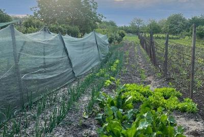 Vand casa p+1 Prundeni,Dragasani ,Valcea-La strada principala peste drum de prim - 12