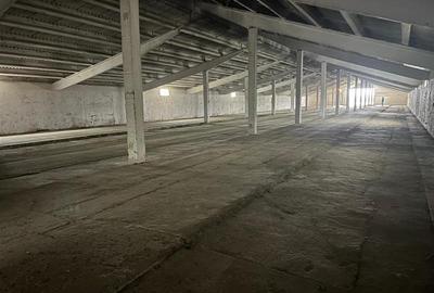 Hale de inchiriat localitatea M. Kogalniceanu Tulcea - 7
