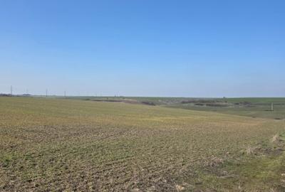 Teren Construcții intravilan de 4750 mp, în Exterior Nord