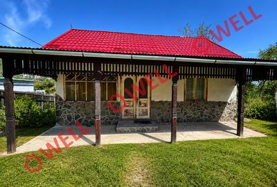 Casă familială de vânzare în Poian! - 1