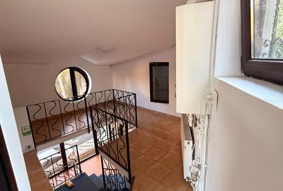 Parc Carol Vila Individuala 7 Camere 175 Mp - 4