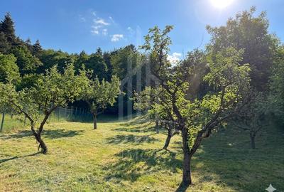 Casă rustică de vânzare în Tilișca, (Marginimea Sibiului) - 21