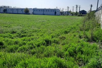 Teren Construcții intravilan de 4600 mp, în Joița