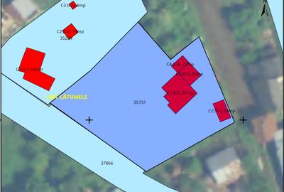 Casă de vânzare cu teren intravilan 1.594 mp Steic, Gorj - 5