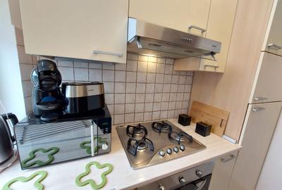 Inchiriere apartament 2 camere, Cismigiu-Luigi Cazzavillan - 18