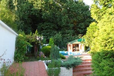 Vila piscina superba gradina matura cu iesire directa la padure - 26