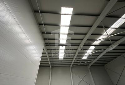 CENTURA - Rudeni | HALA 510 mp| Birouri 60mp | Parc Industrial nou - 10