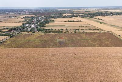Teren 8.648 mp | Intravilan + extravilan | Deschidere 21 m | Mosteni - 8