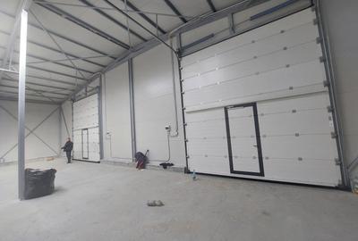 Ovidiu, parc industrial, constructie 2025, 120-1160 mp. - 8