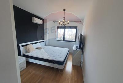INCHIRIERE Apartament cu 2 camere in zona Domenii - 14