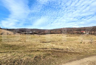 Teren Construcții intravilan de 4100 mp, în Florești