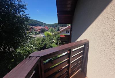 Inchiriez casa Bunloc Sacele-Timisul de Jos cuacces auto pet friendly - 16