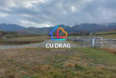 Oportunitate INVESTITIE teren Tocile la granita cu cart. Tineretului - 2