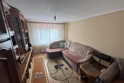 Casa de vanzare P+M cu teren 3300 mp, Hidiselu de sus - 3