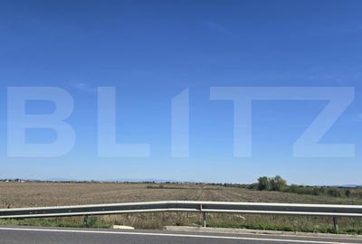Teren Construcții extravilan de 16000 mp, în Sud