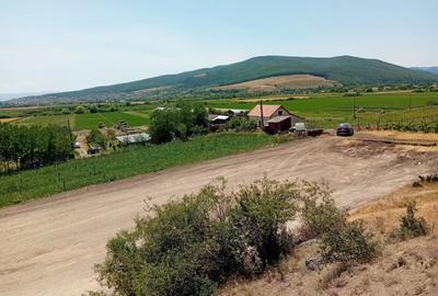 Teren agricol extravilan de 2900 mp, în Șard