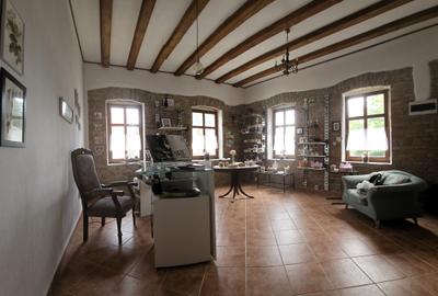 Vanzare casa deosebita / Saschiz / comision 0% - 4