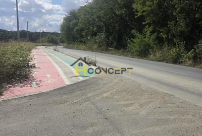 Teren 7500 mp Campurelu Colibasi strada asfaltata langa padure - 6