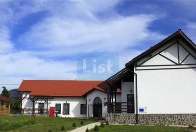 Guesthouse for sale near Mehedinți Mountains - 8