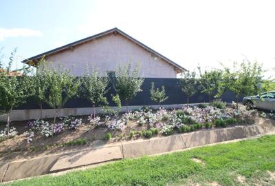 Casa noua 4 camere Tulucesti, panouri fotovoltaice, mobolata+utilata - 16