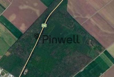 Teren Construcții intravilan de 17948 mp, în Sinești