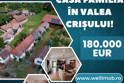 De vânzare casă familială în Valea Crișului! - 1