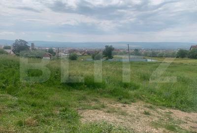 Teren Construcții intravilan de 1206 mp, în Cetate