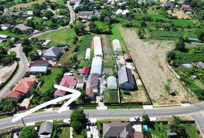 Proprietate 2.229 mp cu Dotări pentru Afacere Florală - 15