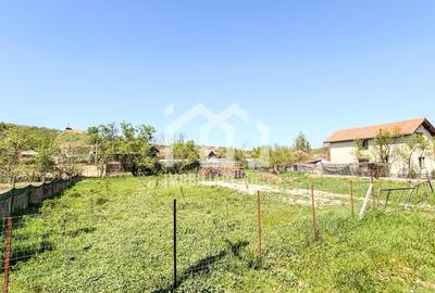 Teren Intravilan 800mp - Visea - 1