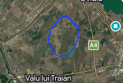 Ocazie! Investitie! 10 hectare, teren, Constanta, Ovidiu - 3